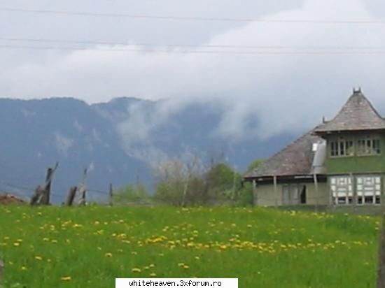 DESTINATII - sau Piatra Craiului - CE FACEM IN TIMPUL LIBER?