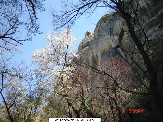 DESTINATII - si tot Madara....loc protejat de UNESCO - CE FACEM IN TIMPUL LIBER?