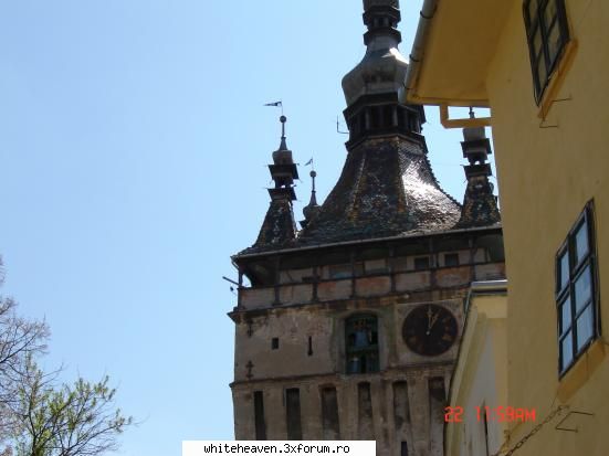 DESTINATII - un superb muzeu in aer liber care tine sa ne - CE FACEM IN TIMPUL LIBER?
