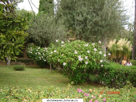DESTINATII - tot Taormina....gradina publica.....o - CE FACEM IN TIMPUL LIBER?