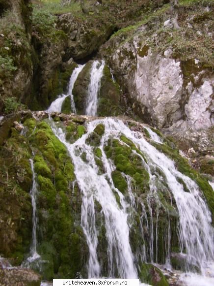 DESTINATII - Izvorul Frumos - e chiar langa schit - CE FACEM IN TIMPUL LIBER?