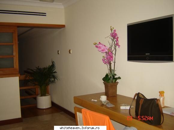 DESTINATII - camera "executive" cu scara interioara....2 - CE FACEM IN TIMPUL LIBER?