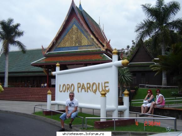 DESTINATII - Loro Parque.....locul unde animalele traiesc mai - CE FACEM IN TIMPUL LIBER?