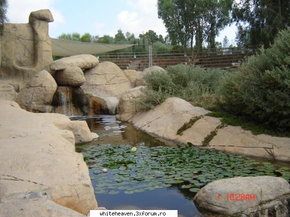DESTINATII - in schimb parcul zoo Friguya pentru mine a - CE FACEM IN TIMPUL LIBER?