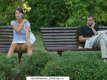 MOZAIC,ALAMBIC,....(si_ar putea continua!) ;) - VOI vorbiti,eu ma fuck ca va inteleg,si totul - DIVERSE