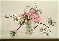PLANTE - Ikebana (calea florilor) este o arta traditionala - CUM NE AMENAJAM CASA SI GRADINA
