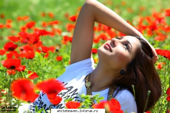 floarea rosie de mac si povestea ei

macul de rosie si firava care creste pe marginea drumurilor si
