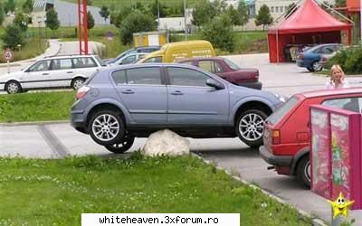 POZE FUN - Era...blonda??? (s_o credeti voi! ) :)))) - IMAGINI HAIOASE