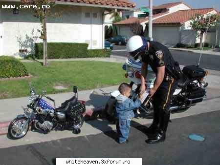 POZE FUN - prima ..amenda! - IMAGINI HAIOASE