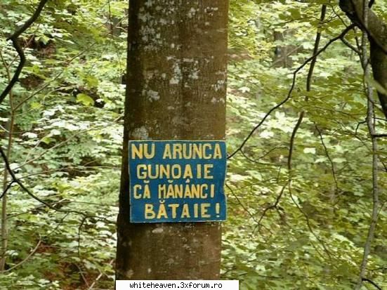 POZE FUN - ultimatum - BANCURI!!! :D