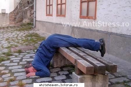POZE FUN - kipsing - IMAGINI HAIOASE