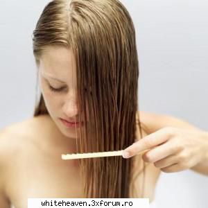 PRODUSE NATURISTE - Tratamente naturiste impotriva caderii parului - BOLI, TERAPII SI PRODUSE NATURISTE