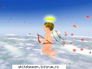 VALENTINE - In S.U.A., in fiecare an, sunt vandute cu ocazia - SARBATORI!